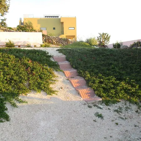 Sunny Pajdek * Sevid